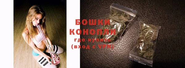 крисы Каменка