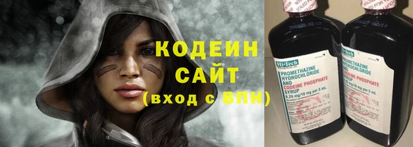 крисы Каменка