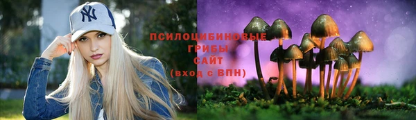 шишки Каменск-Шахтинский