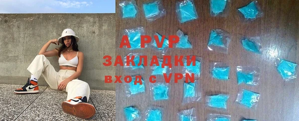 крисы Каменка