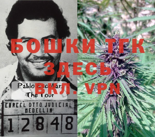 шишки Каменск-Шахтинский