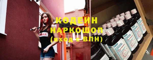 крисы Каменка