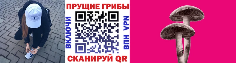Купить где  Борисоглебск  Псилоцибиновые грибы Magic Shrooms 